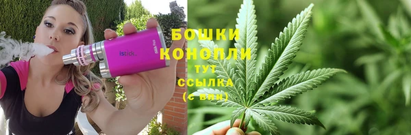 СК Белокуриха