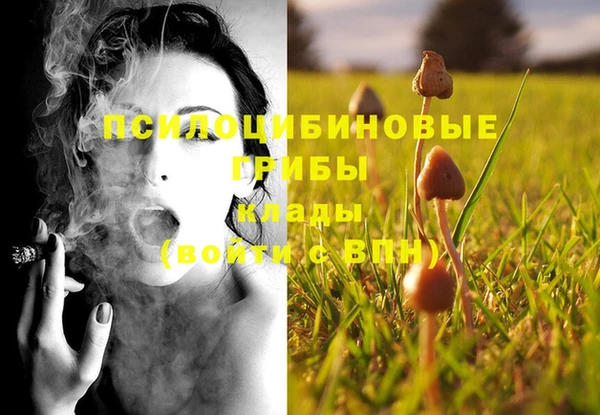 гидропоника Белоозёрский
