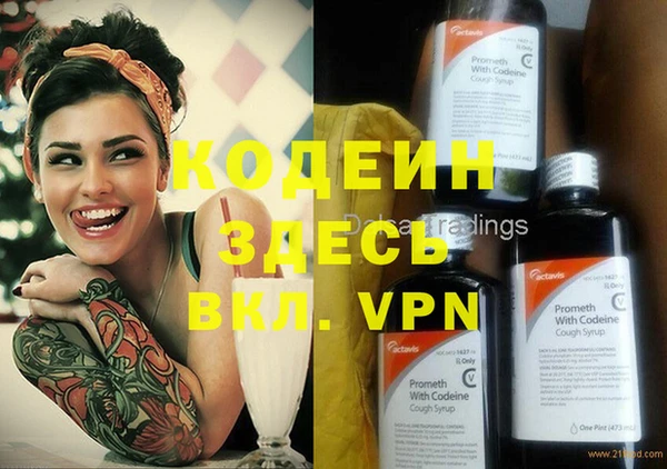 прущие грибы Беломорск