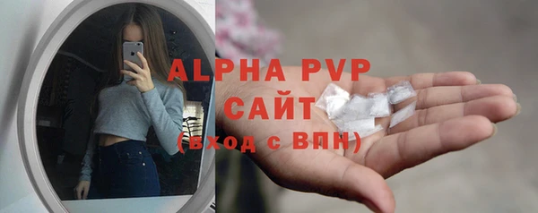 прущие грибы Беломорск