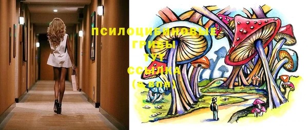 ешки Нефтекумск