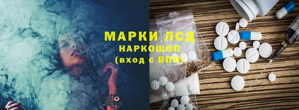 прущие грибы Беломорск