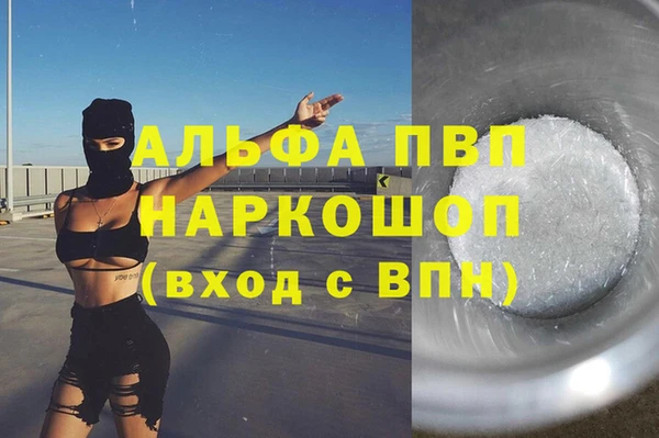СК Белокуриха