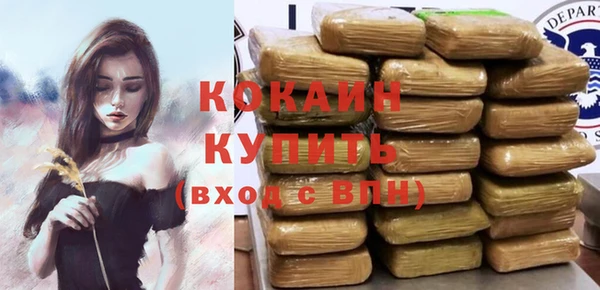 прущие грибы Беломорск