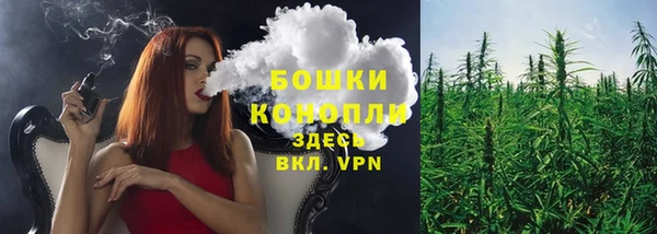 прущие грибы Беломорск