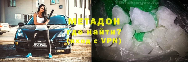 прущие грибы Беломорск