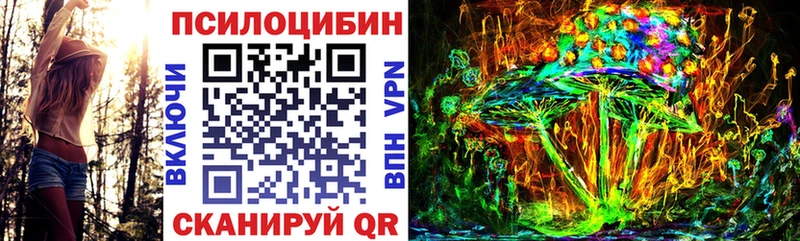 Галлюциногенные грибы Psilocybe  наркота  Никольское 